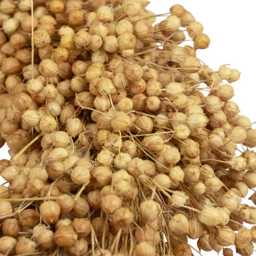 Floristik24 Guirlanda decorativa Boho guirlanda decorativa de linho guirlanda natural seca Ø28cm