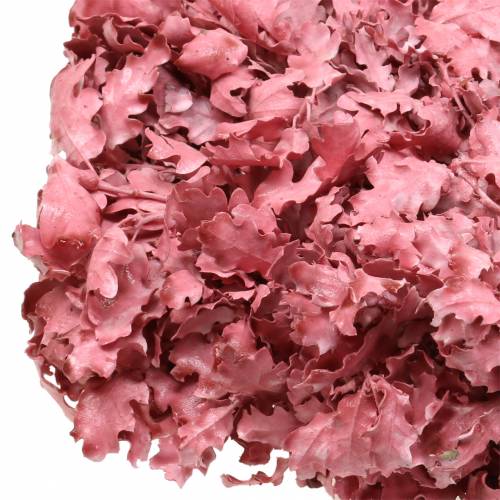 Floristik24 Coroa de folhas de carvalho rosada com cera Ø38cm