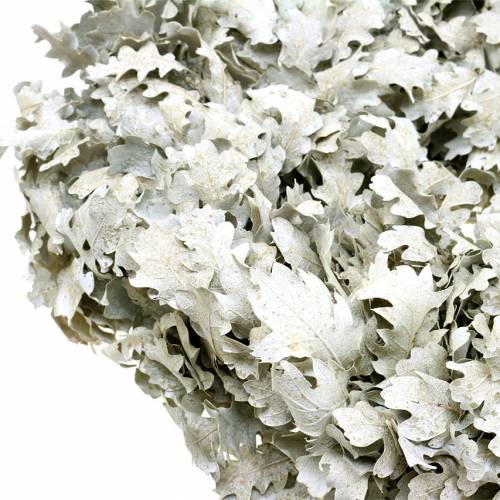 Floristik24 Coroa de folhas de carvalho lavadas em branco Ø38cm