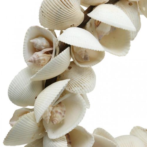 Floristik24 Coroa marítima, decoração marítima, guirlanda decorativa de conchas e caracóis naturais Ø26,5cm