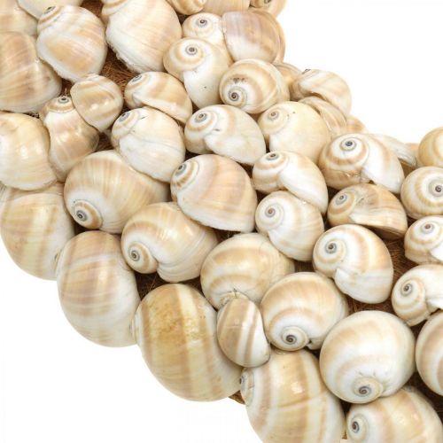 Floristik24 Coroa de caracóis, decoração marítima, natural Mattukan caracóis cores naturais Ø39,5cm