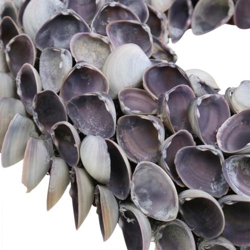 Coroa de conchas, conchas naturais lascadas roxas, anel feito de conchas Ø25cm