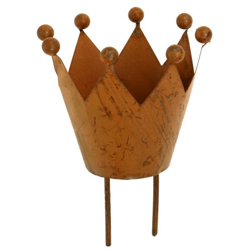 Floristik24 Coroa da lanterna para ligar a grelha Ø4cm A7cm