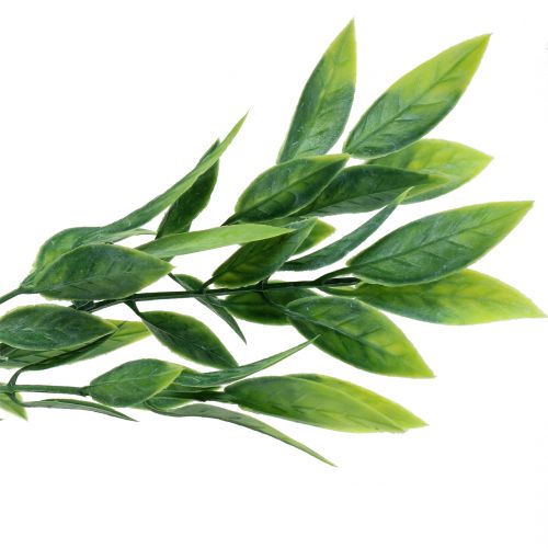 Floristik24 Laurel no cacho verde artificial 40cm 7pcs