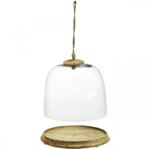 Floristik24 Campainha de vidro com prato de madeira, campainha de bolo com cabo de juta A19cm Ø22,5cm
