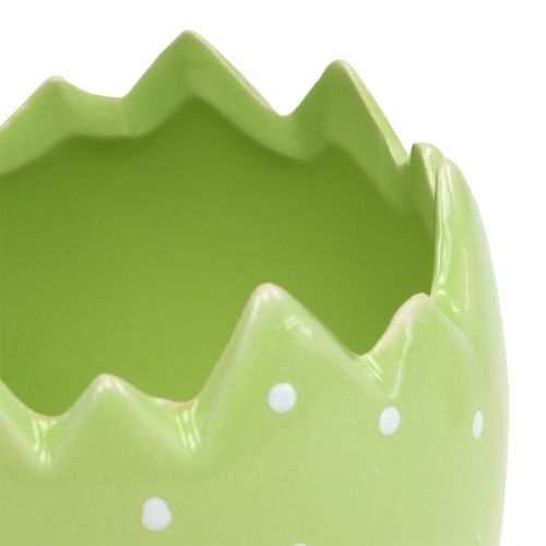 Floristik24 Vaso de flores com casca de ovo Ø8cm H8,5cm 8 unidades
