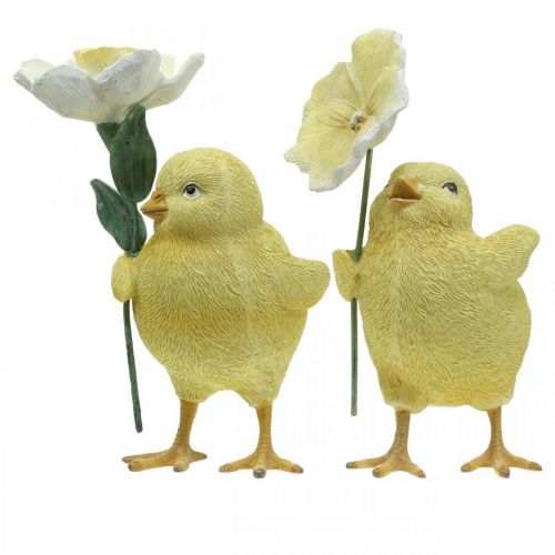 Floristik24 Pintinhos Felizes da Páscoa, pintinhos com flores, enfeites de mesa de Páscoa, pintinhos decorativos A11/11,5cm, conjunto de 2