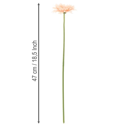 Flores artificiais de gerbera cor damasco, 47 cm, pacote com 6 unidades. | Floristik24.pt