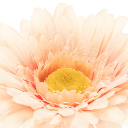 Flores artificiais de gerbera cor damasco, 47 cm, pacote com 6 unidades. | Floristik24.pt