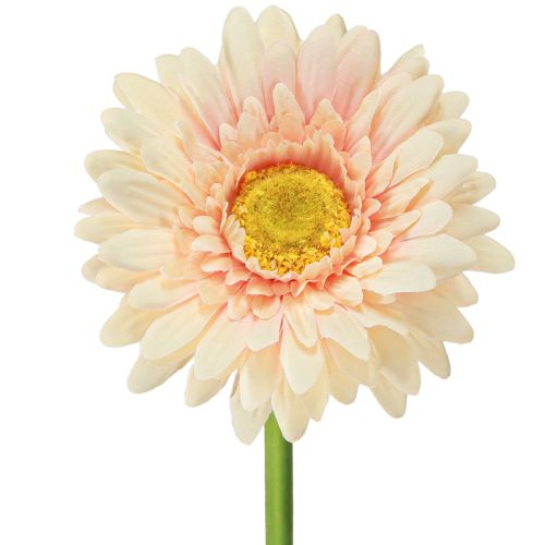 Flores artificiais Gérbera Damasco 47cm