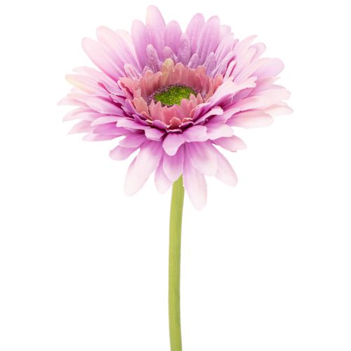 Flores artificiais de gerbera para jardim, roxas, 47 cm, conjunto de 6 peças. comprar | Floristik24.pt