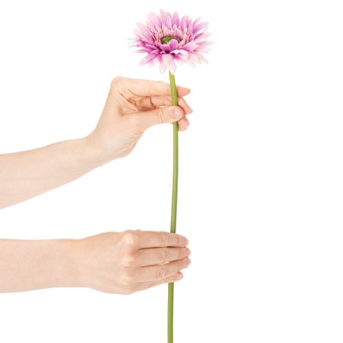 Flores artificiais de gerbera para jardim, roxas, 47 cm, conjunto de 6 peças. | Floristik24.pt