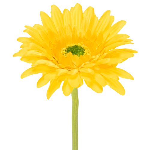 Flores artificiais de gérbera, amarelo ensolarado, flor de jardim, 47 cm, 6 peças comprar | Floristik24.pt