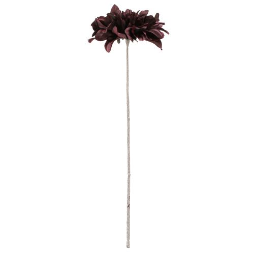 Floristik24 Dália artificial com flores grandes em vinho C58cm