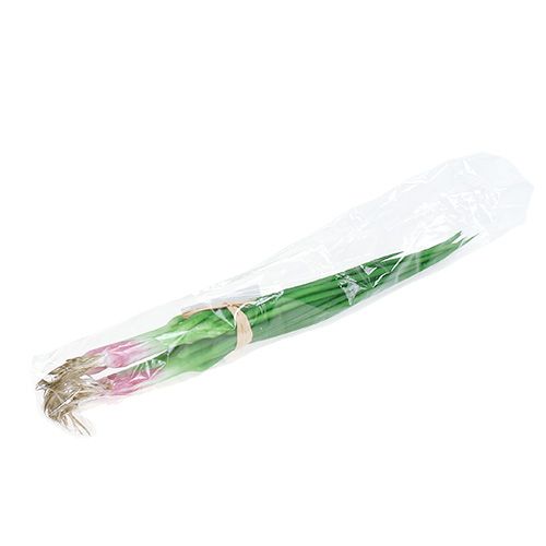 Floristik24 Cebolinha artificial 30cm 4pcs