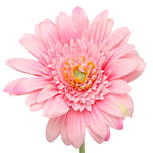 Floristik24 Gérbera artificial rosa Ø10cm L53cm 6pcs