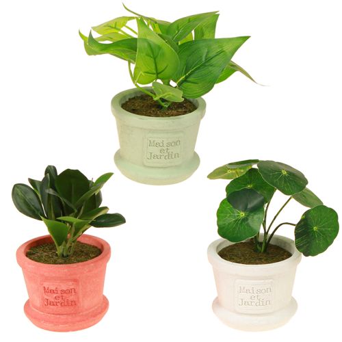 Itens Plantas verdes artificiais mini plantas em vaso 15 cm 3 unidades