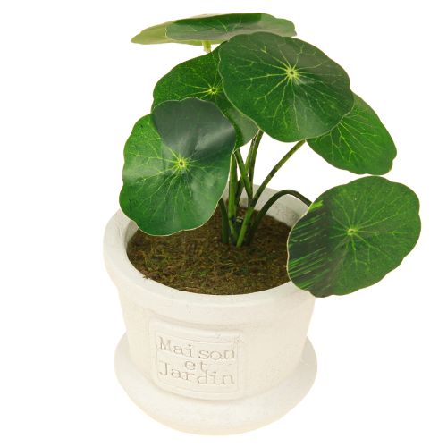 Itens Plantas verdes artificiais mini plantas em vaso 15 cm 3 unidades