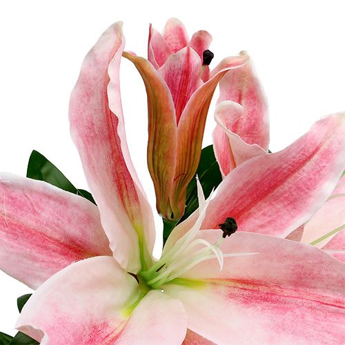 Floristik24 Lírio Artificial Rosa Real Touch 100cm