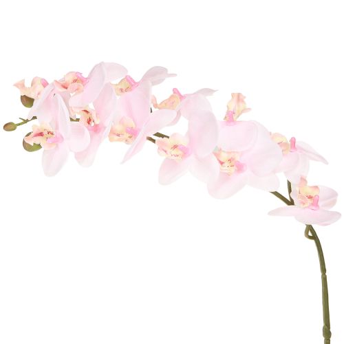 Floristik24 Orquídeas Artificiais Luz Rosa Flores Artificiais Toque Real 58cm 2pcs