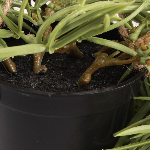 Itens Suculenta artificial suspensa em vaso preto 60 cm - Decoração de interiores de longa duração