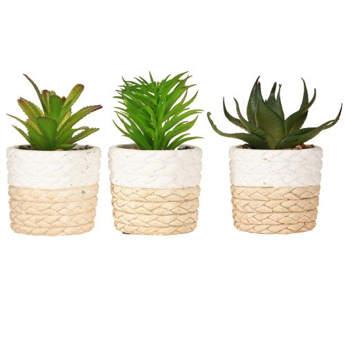 Itens Suculentas Artificiais em Vaso de Cerâmica 12,5cm 3pcs