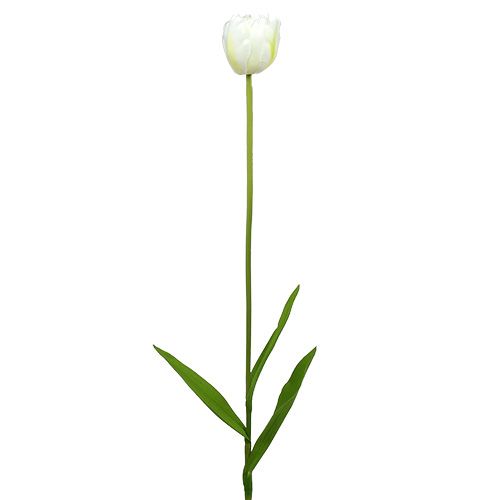 Floristik24 Tulipas artificiais branco-verde 86 cm 3 unidades