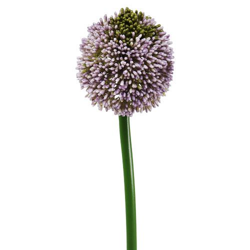 Floristik24 Flores artificiais roxo allium Ø10cm C65cm