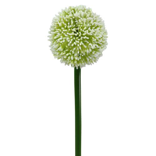 Floristik24 Artificial Allium Branco Ø10cm C65cm