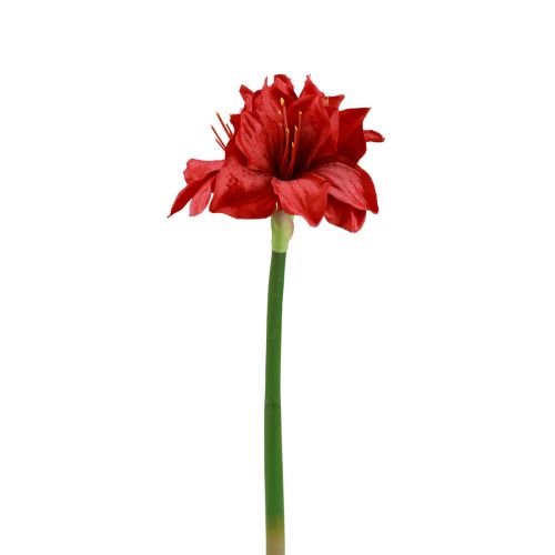 Flores Artificiais de Natal Amarílis Flores Artificiais Vermelhas L40cm