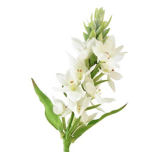 Flor artificial estrela de leite branca 50cm