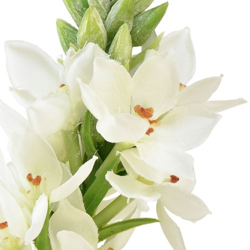 Itens Jardim de flores artificiais estrela de leite flor artificial branca 50cm