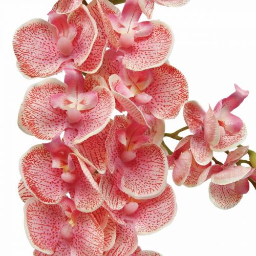 Floristik24 Orquídeas artificiais deco flor artificial orquídea rosa 71cm