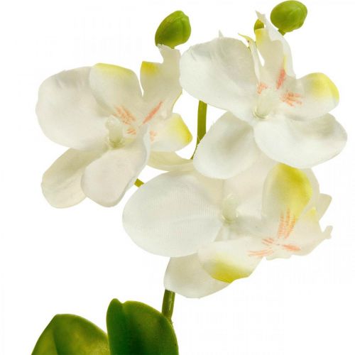 Floristik24 Orquídeas artificiais Orquídea flor artificial branca 20cm