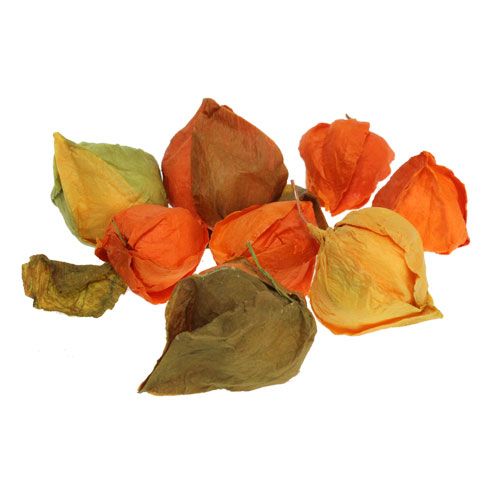 Floristik24 Artificial Physalis sort. 32pcs