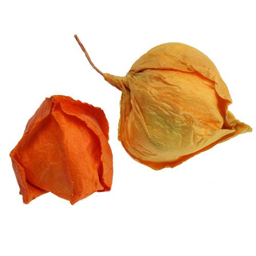 Itens Artificial Physalis sort. 32pcs