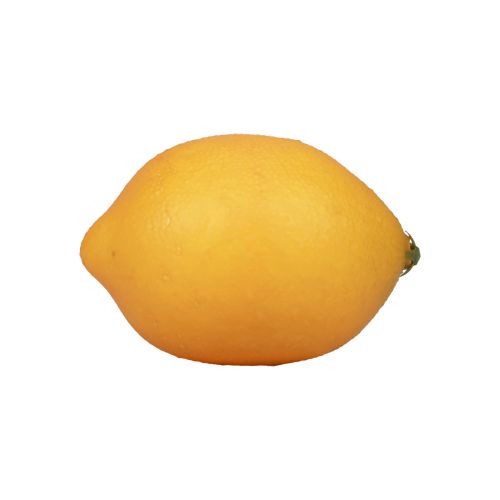 Floristik24 Chupetas decorativas de limão artificial laranja 8,5 cm