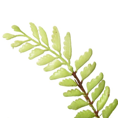 Itens Decoração de samambaia artificial, samambaia artificial, planta artificial verde 42cm