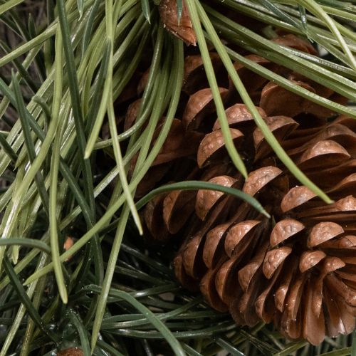 Coroa artificial de ramos de pinheiro com pinhas, 60 cm | Floristik24.pt