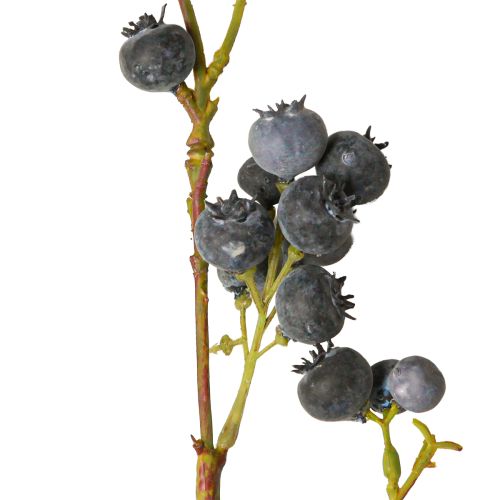 Floristik24 Ramo artificial com amoras azuis mirtilos 110cm