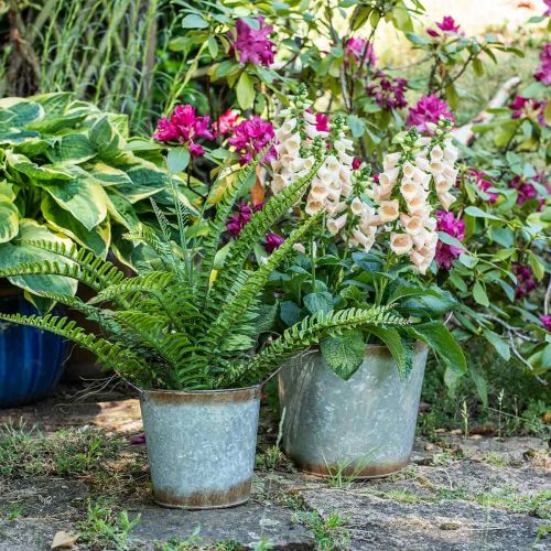 Floristik24 Samambaia Artificial com Bolas Verde Artificial Samambaia Deco H42cm