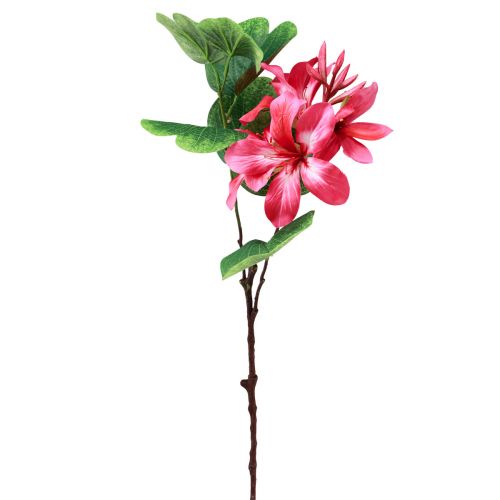 Itens Ramo de orquídea artificial Bauhinia Rosa planta artificial 62cm