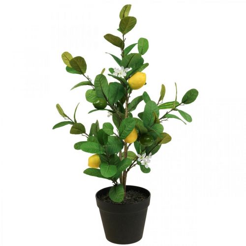 Itens Limoeiro artificial em vaso Limoeiro Alt.65cm