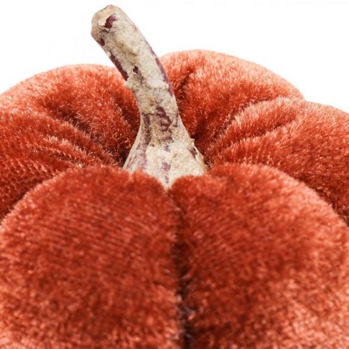 Floristik24 Decoração de mesa decoração de outono abóboras laranja castanho Ø6.5cm 9uds