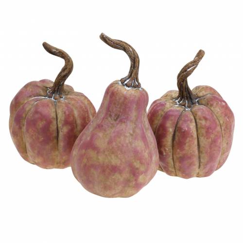 Itens Conjunto de mini abóbora laranja, lilás Ø6,5–7cm 6 peças