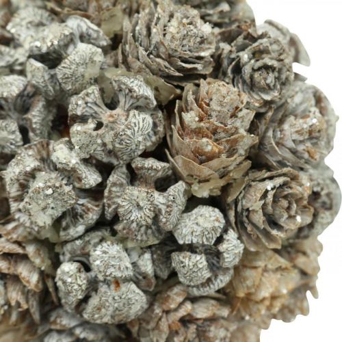 Floristik24 Bola de cones de decoração de Natal para pendurar decorações de árvores de Natal Ø10cm