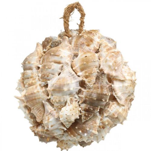 Floristik24 Deco bola conchas de caracol conchas deco pendurado natureza Ø12cm