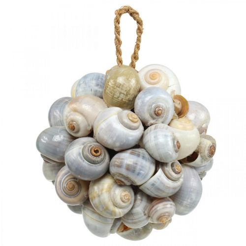 Floristik24 Bola de decoração marítima bola de concha de caracol do mar decoração natural Ø12cm