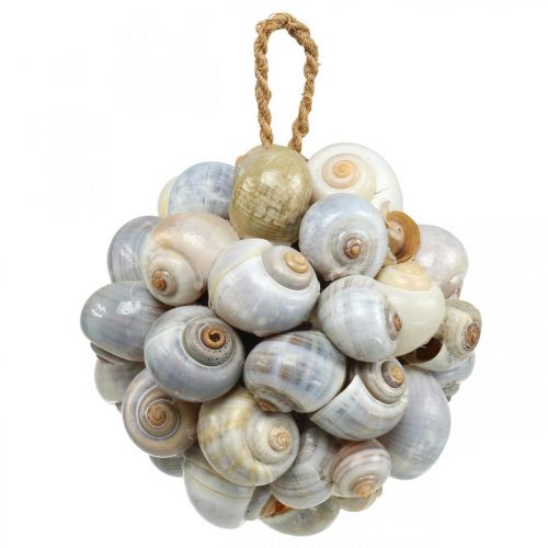Floristik24 Bola de decoração marítima bola de concha de caracol do mar decoração natural Ø12cm