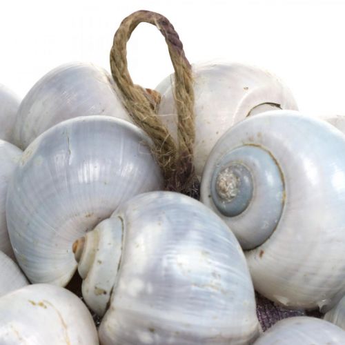 Itens Bola decorativa caracóis marinhos concha bola decoração natural marítima Ø19cm